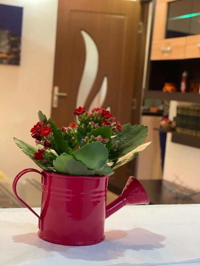 Bucuresti Comfort Apartment Екстериор снимка